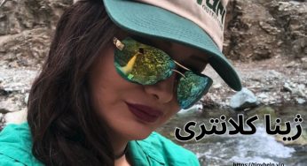 خیانت ژینا کلانتری به شادمهر عقیلی از چه قرار است؟ بررسی حواشی این سلبریتی