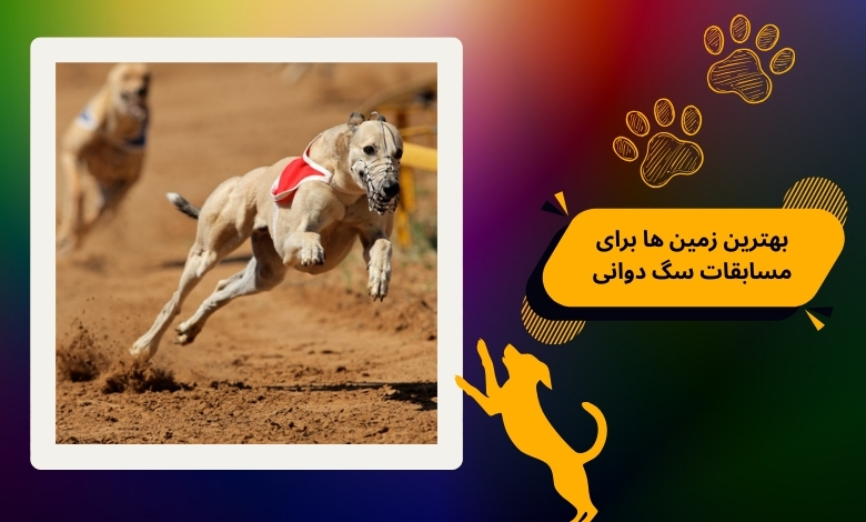بهترین زمین ها و سطوح برای مسابقات سگ دوانی کدامند؟