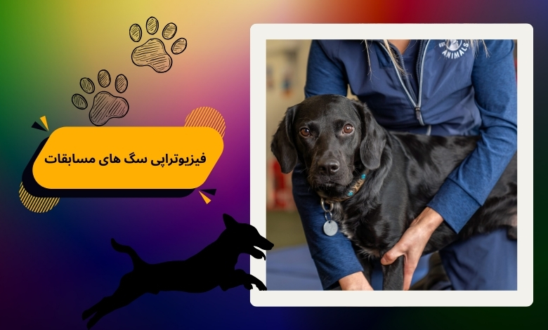 آیا سگ های مسابقات به فیزیوتراپی نیاز دارند؟