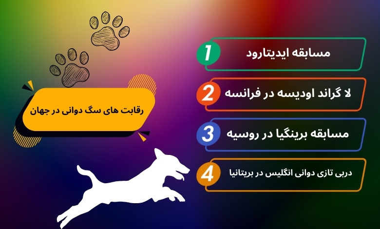 مهم ترین رقابت های سگ دوانی در جهان کدامند؟